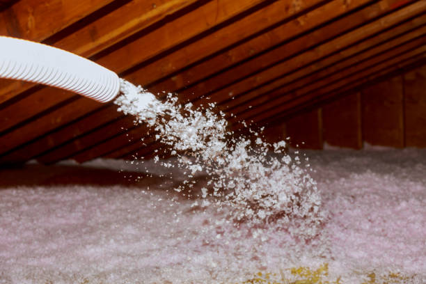 Best Spray Foam Insulation  in , MI